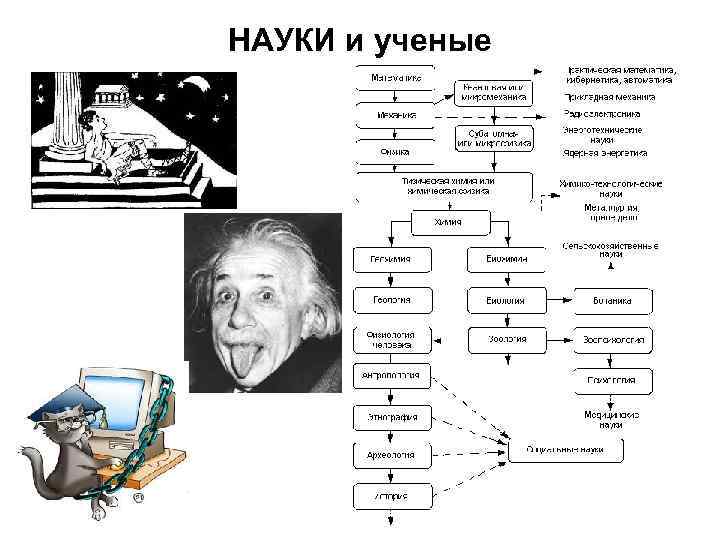 НАУКИ и ученые 