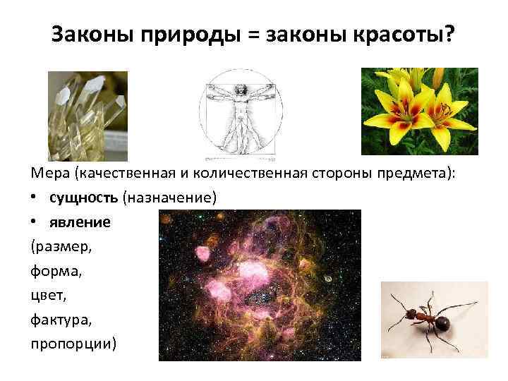Законы природы = законы красоты? Мера (качественная и количественная стороны предмета): • сущность (назначение)