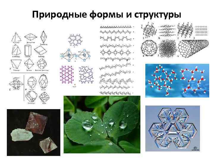 Природные формы и структуры 