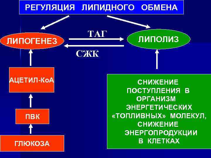 Липидный обмен. Регуляция процессов обмена липидов в клетках. Схема метаболической регуляции липидного обмена. Гормоны регулирующие липидный обмен. Гормональная регуляция липидного обмена.