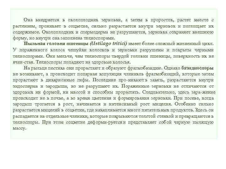 Она внедряется в околоплодник зерновки, а затем в проросток, растет вместе с растением, проникает