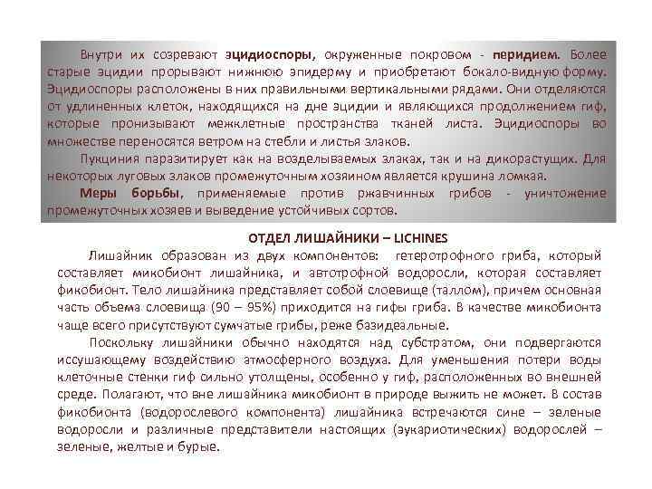 Внутри их созревают эцидиоспоры, окруженные покровом перидием. Более старые эцидии прорывают нижнюю эпидерму и