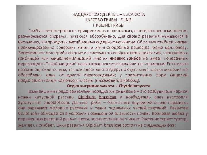 НАДЦАРСТВО ЯДЕРНЫЕ – EUCARIOTA ЦАРСТВО ГРИБЫ FUNGI НИЗШИЕ ГРИБЫ Грибы – гетеротрофные, прикрепленные организмы,