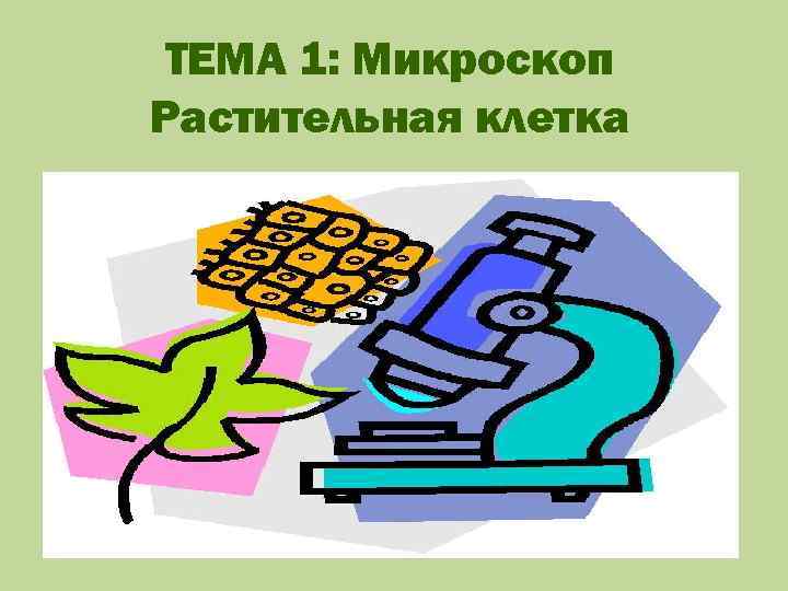 ТЕМА 1: Микроскоп Растительная клетка 