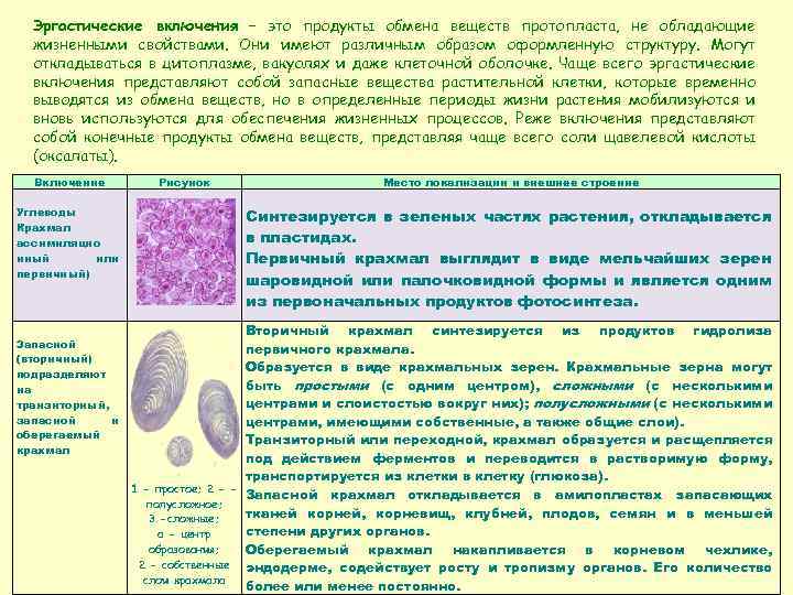 Три признака клеток растений