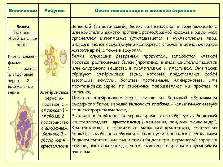 В клетках семян растений вещества