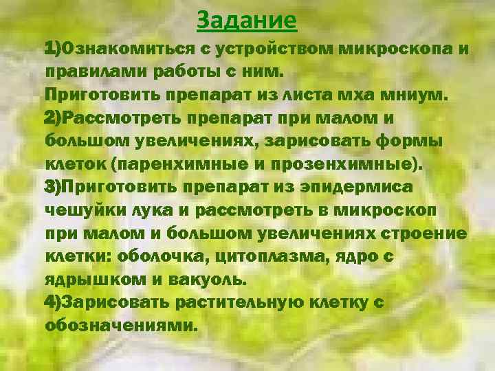  Задание 1)Ознакомиться с устройством микроскопа и правилами работы с ним. Приготовить препарат из