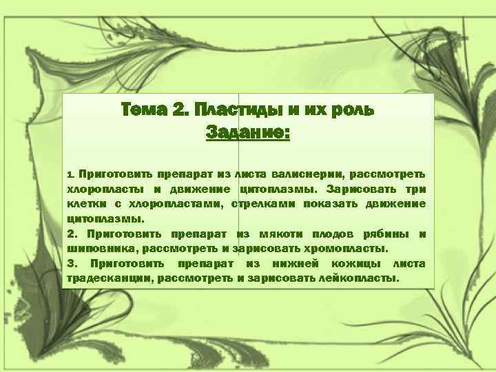 Тема 2. Пластиды и их роль Задание: Приготовить препарат из листа валиснерии, рассмотреть хлоропласты