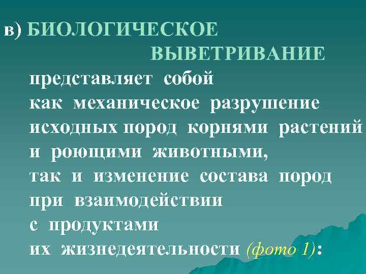 в) БИОЛОГИЧЕСКОЕ ВЫВЕТРИВАНИЕ представляет собой как механическое разрушение исходных пород корнями растений и роющими