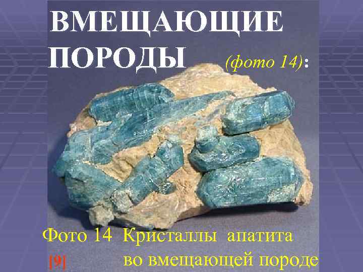 ВМЕЩАЮЩИЕ ПОРОДЫ (фото 14): Фото 14 Кристаллы апатита во вмещающей породе [9] 