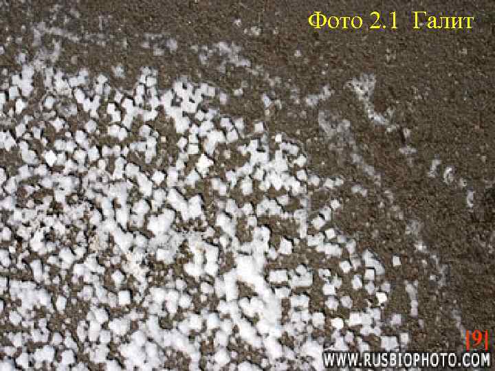 Фото 2. 1 Галит [9] 