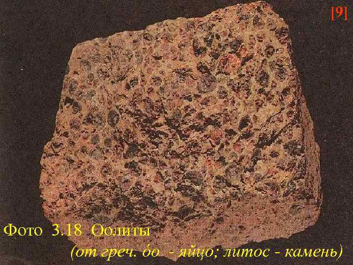 [9] Фото 3. 18 Оолиты (от греч. óо - яйцо; литос - камень) 