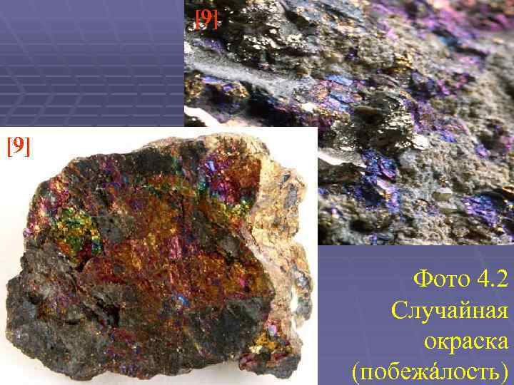 [9] [9] Фото 4. 2 Случайная окраска (побежáлость) 