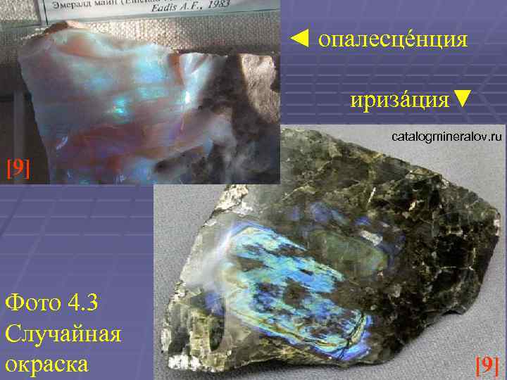 ◄ опалесцéнция иризáция▼ catalogmineralov. ru [9] Фото 4. 3 Случайная окраска [9] 