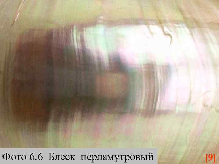 Фото 6. 6 Блеск перламутровый [9] 
