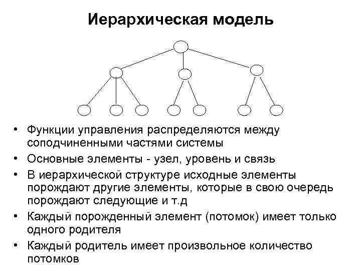 Функции модели данных. Иерархическая модель управления. Иерархическая модель менеджмента. Иерархичная схема управления. Иерархическая организационная модель пример.