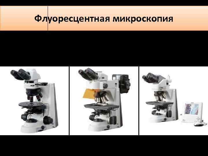 Флуоресцентная микроскопия 