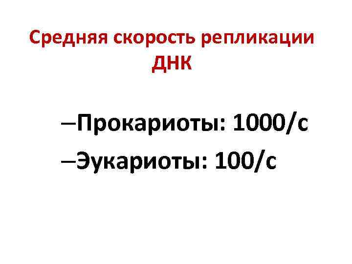 Средняя скорость репликации ДНК –Прокариоты: 1000/с –Эукариоты: 100/с 