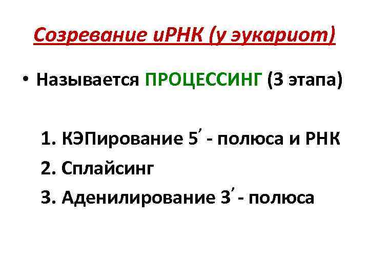 Созревание и. РНК (у эукариот) • Называется ПРОЦЕССИНГ (3 этапа) , 1. КЭПирование 5