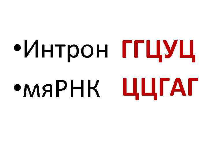  • Интрон ГГЦУЦ • мя. РНК ЦЦГАГ 