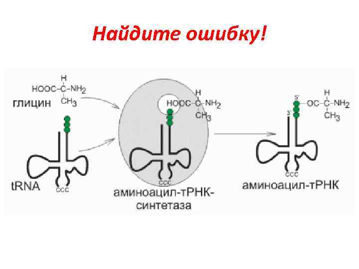 Найдите ошибку! 