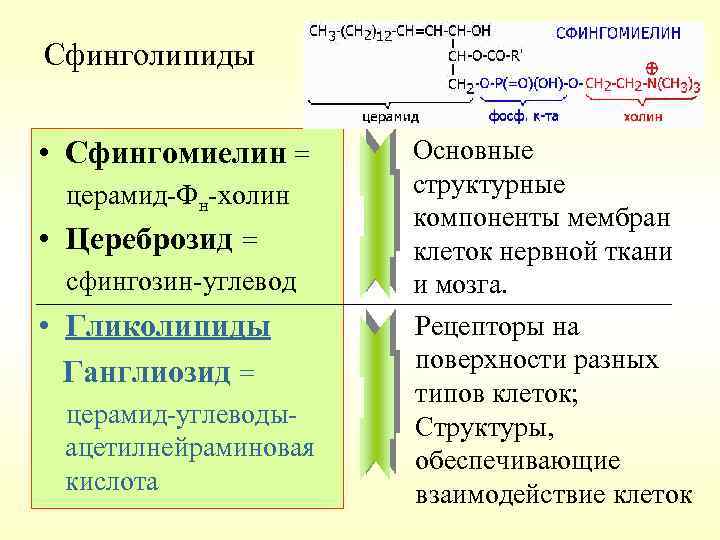 План обмена состав