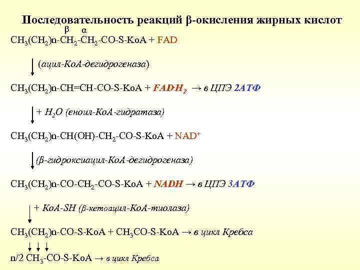Последовательность реакций β-окисления жирных кислот β α СН 3(СН 2)n-СН 2 -СО-S-Ko. A +