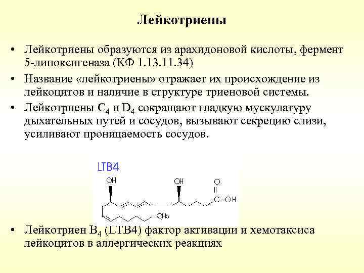 Лейкотриены • Лейкотриены образуются из арахидоновой кислоты, фермент 5 -липоксигеназа (КФ 1. 13. 11.