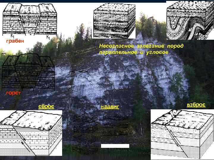 грабен Несогласное залегание пород параллельное и угловое горст сброс надвиг взброс 