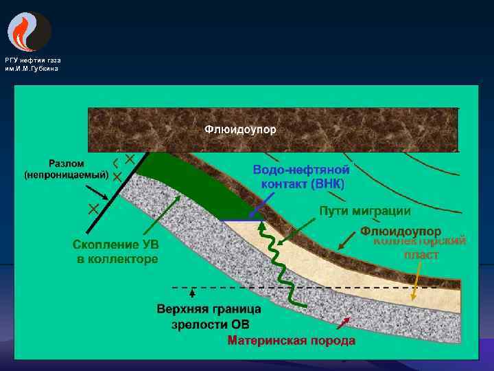 РГУ нефтии газа им. И. М. Губкина 