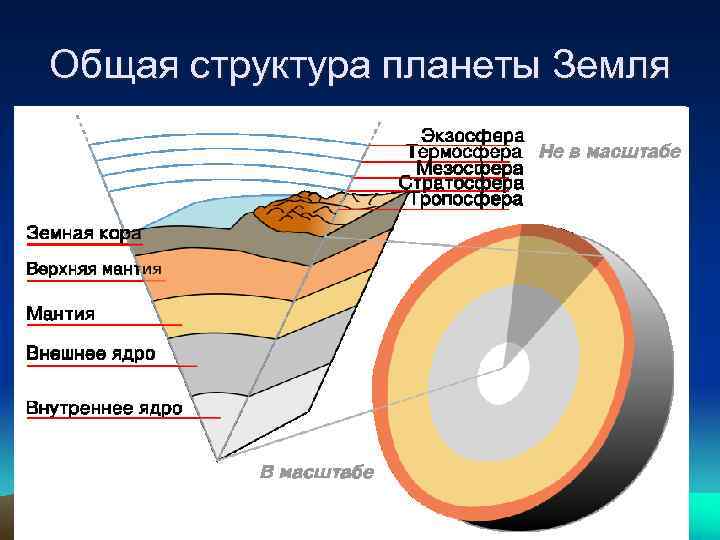 Общая структура планеты Земля 