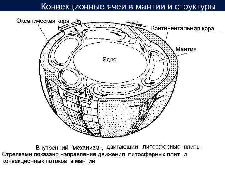 Конвекционные ячеи в мантии и структуры земной коры 