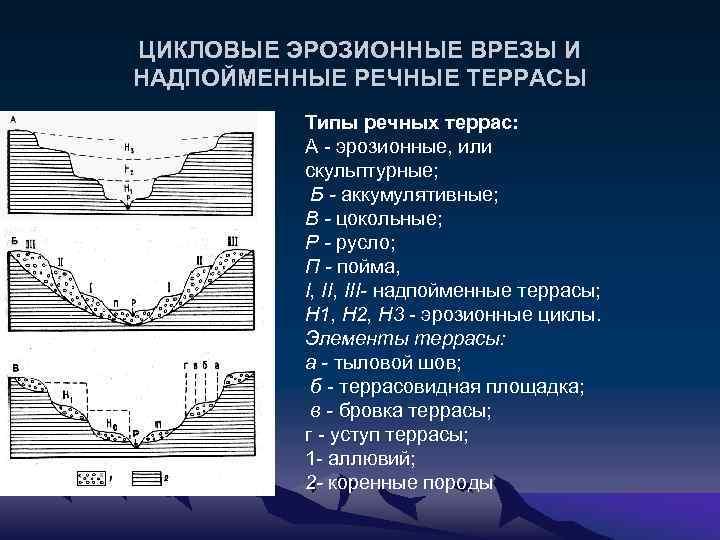 ЦИКЛОВЫЕ ЭРОЗИОННЫЕ ВРЕЗЫ И НАДПОЙМЕННЫЕ РЕЧНЫЕ ТЕРРАСЫ Типы речных террас: А - эрозионные, или