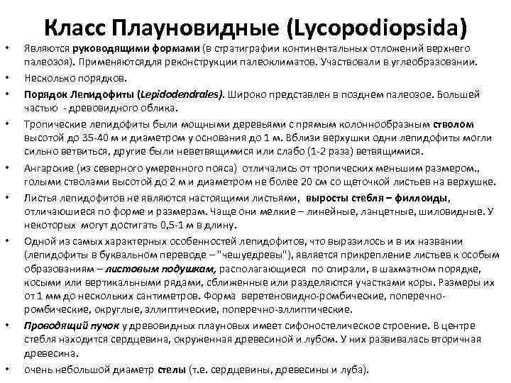  • • • Класс Плауновидные (Lycopodiopsida) Являются руководящими формами (в стратиграфии континентальных отложений