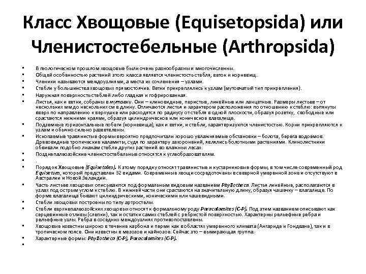 Класс Хвощовые (Equisetopsida) или Членистостебельные (Arthropsida) • • • • • В геологическом прошлом