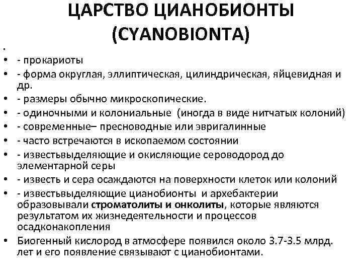 ЦАРСТВО ЦИАНОБИОНТЫ (CYANOBIONTA) • • - прокариоты • - форма округлая, эллиптическая, цилиндрическая, яйцевидная