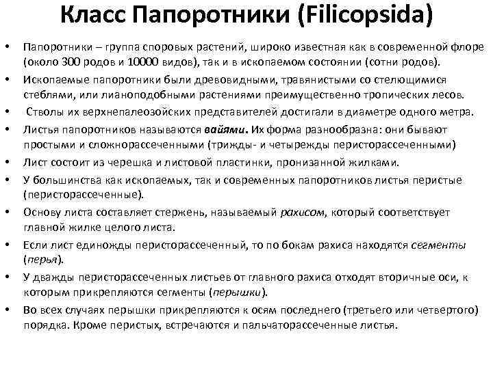 Класс Папоротники (Filicopsida) • • • Папоротники – группа споровых растений, широко известная как