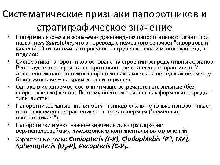 Систематические признаки папоротников и стратиграфическое значение • Поперечные срезы ископаемых древовидных папоротников описаны под