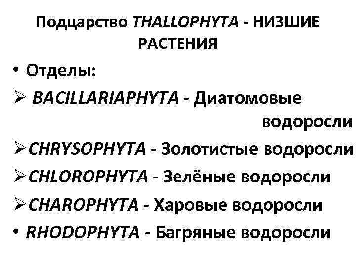 Подцарство THALLOPHYTA - НИЗШИЕ РАСТЕНИЯ • Отделы: Ø BACILLARIAPHYTA - Диатомовые водоросли ØCHRYSOPHYTA -