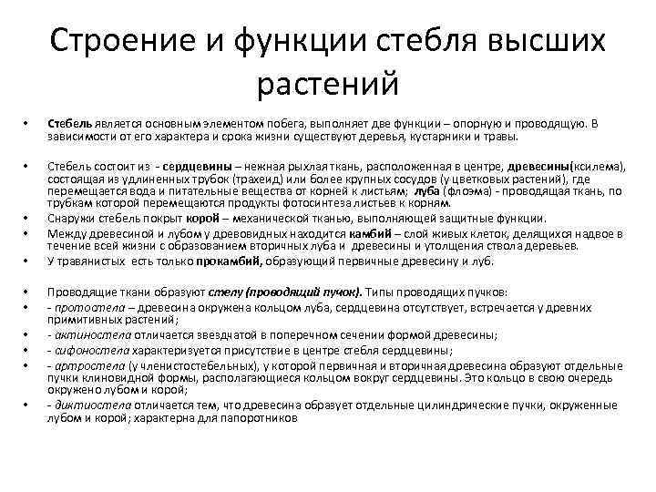 Строение и функции стебля высших растений • Стебель является основным элементом побега, выполняет две