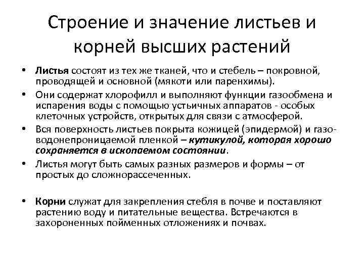 Строение и значение листьев и корней высших растений • Листья состоят из тех же