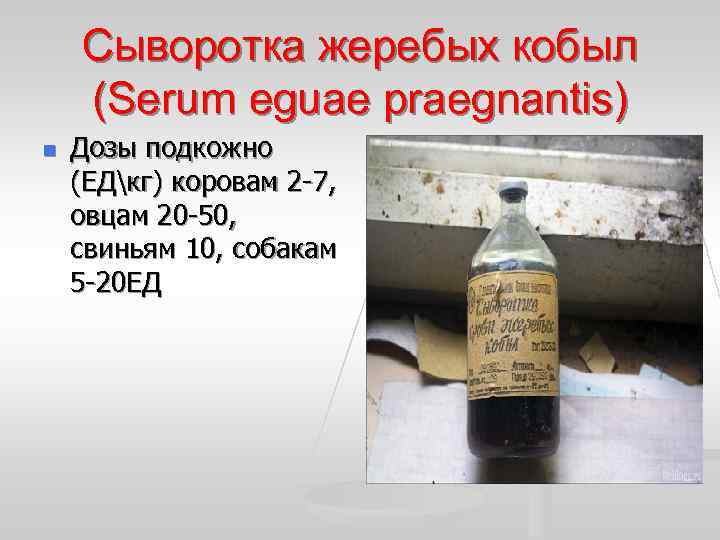 Сыворотка жеребых кобыл (Serum eguae praegnantis) n Дозы подкожно (ЕДкг) коровам 2 -7, овцам