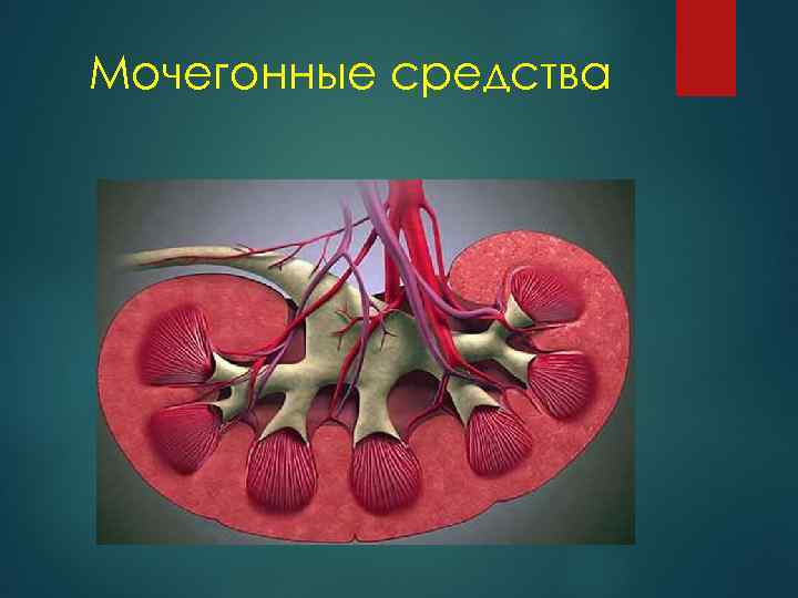 Мочегонные средства 