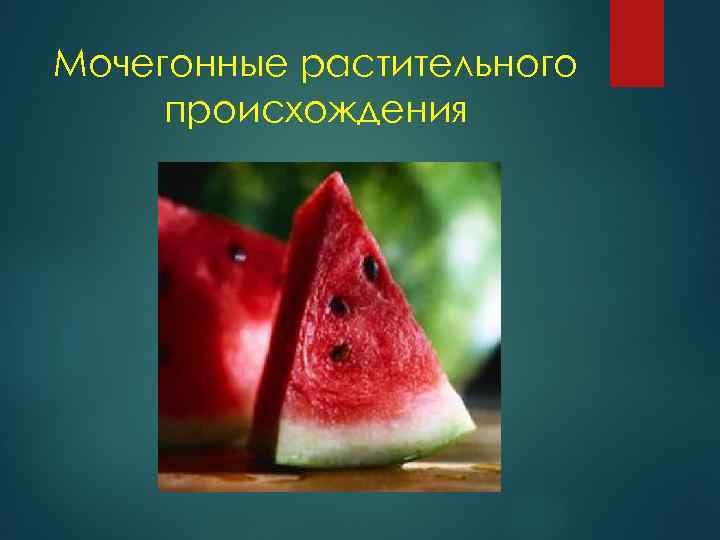 Мочегонные растительного происхождения 