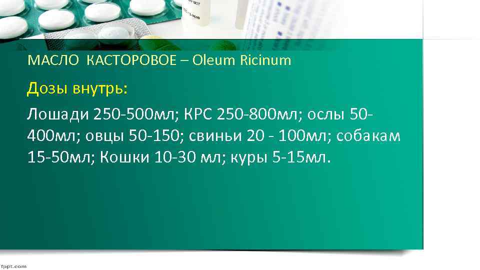 МАСЛО КАСТОРОВОЕ – Oleum Ricinum Дозы внутрь: Лошади 250 500 мл; КРС 250 800