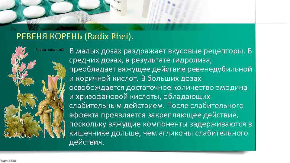 РЕВЕНЯ КОРЕНЬ (Radix Rhei). В малых дозах раздражает вкусовые рецепторы. В средних дозах, в