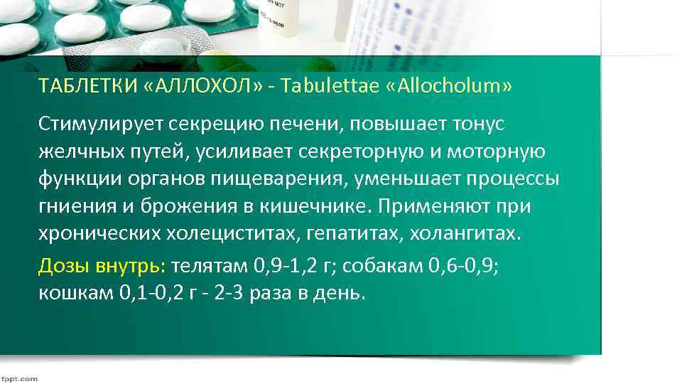 ТАБЛЕТКИ «АЛЛОХОЛ» Tabulettae «Allocholum» Стимулирует секрецию печени, повышает тонус желчных путей, усиливает секреторную и