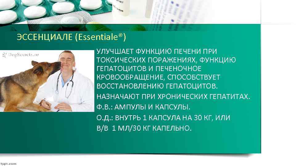 ЭССЕНЦИАЛЕ (Essentiale®) УЛУЧШАЕТ ФУНКЦИЮ ПЕЧЕНИ ПРИ ТОКСИЧЕСКИХ ПОРАЖЕНИЯХ, ФУНКЦИЮ ГЕПАТОЦИТОВ И ПЕЧЕНОЧНОЕ КРОВООБРАЩЕНИЕ, СПОСОБСТВУЕТ