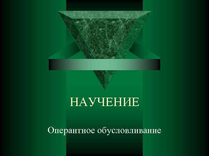 НАУЧЕНИЕ Оперантное обусловливание 