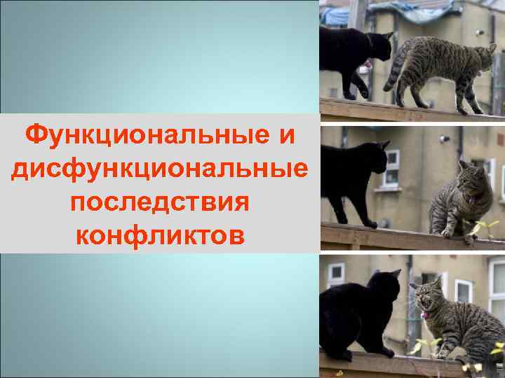 Функциональные и дисфункциональные последствия конфликтов 